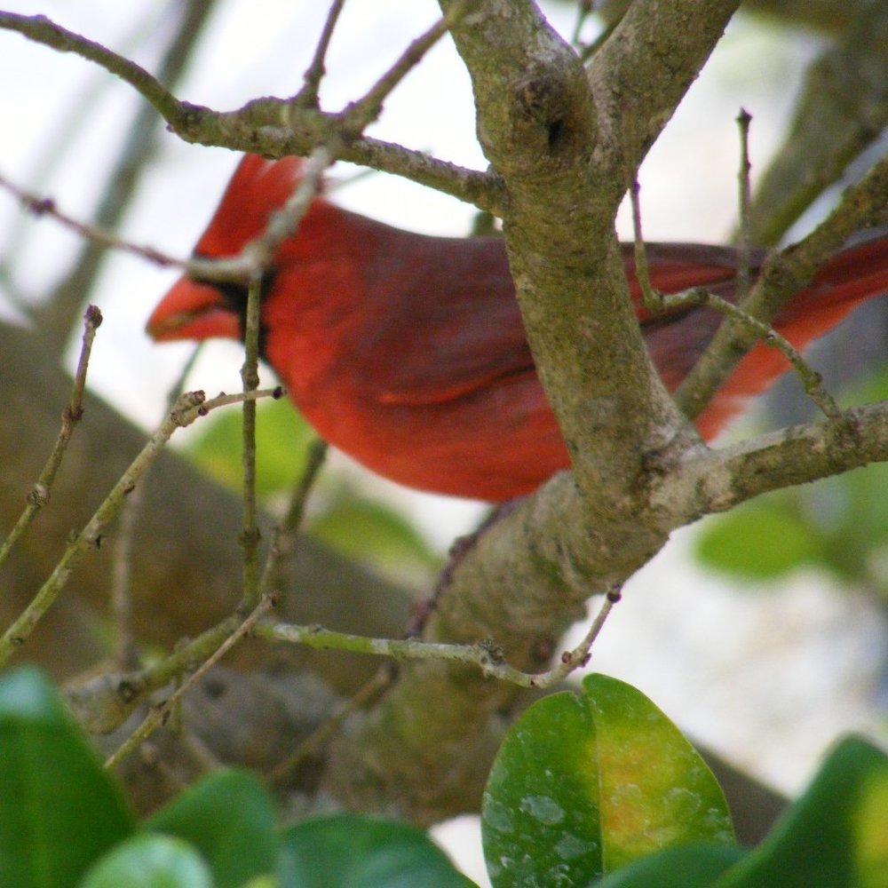 Meet your Posher, Roxanne
